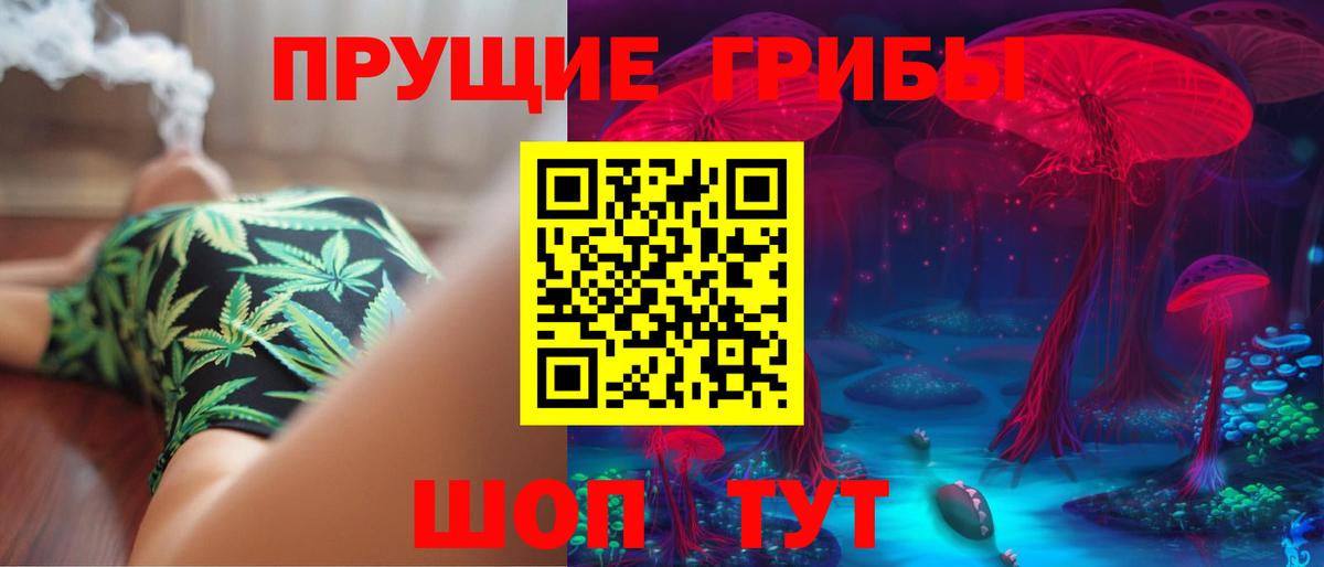 Псилоцибиновые грибы Magic Shrooms  где купить наркоту  Сухой Лог  Вход с VPN 